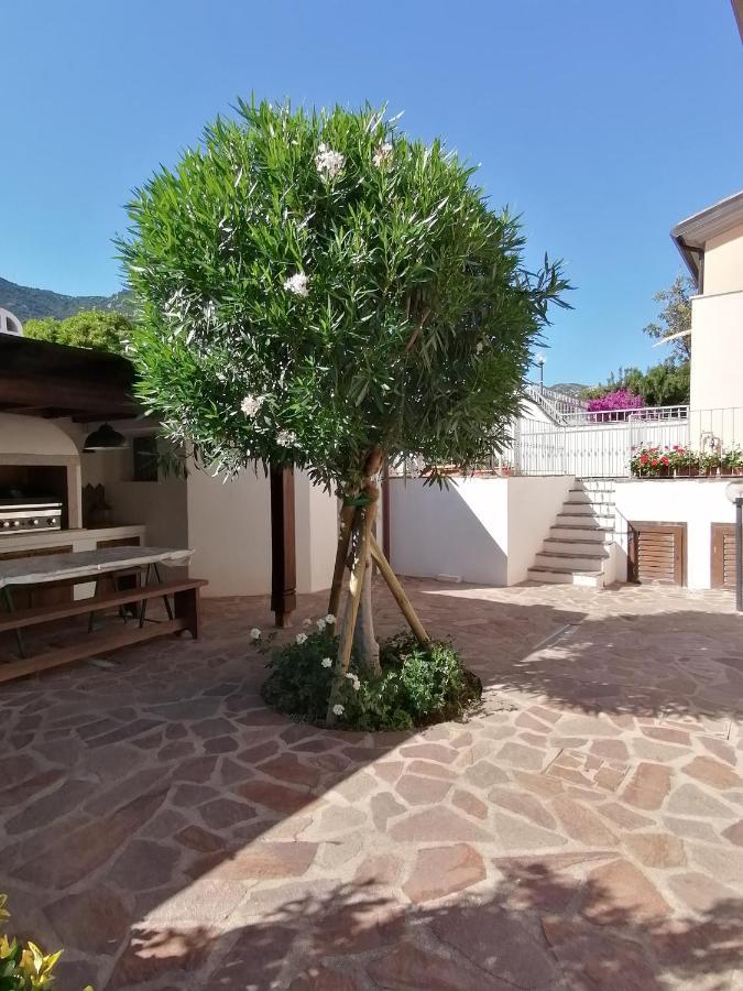 Casa Vacanze Villa Rosa Cala Gonone Exterior foto